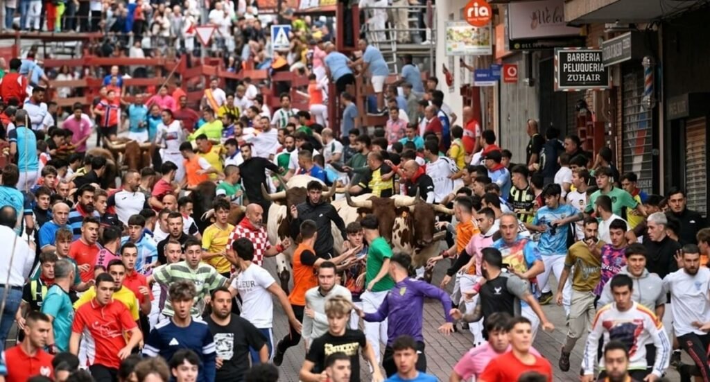Fiestas de Sanse 2026 con encierros y conciertos