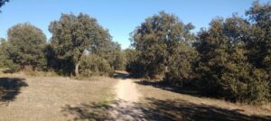 dehesa-san Sebastián delos reyes