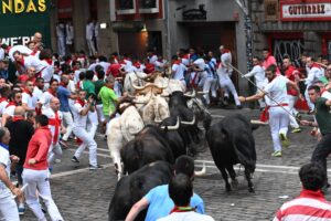 Foto. Dani Martínez Alda