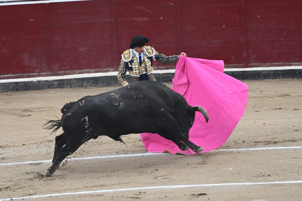 Foto Dani Martínez Alda