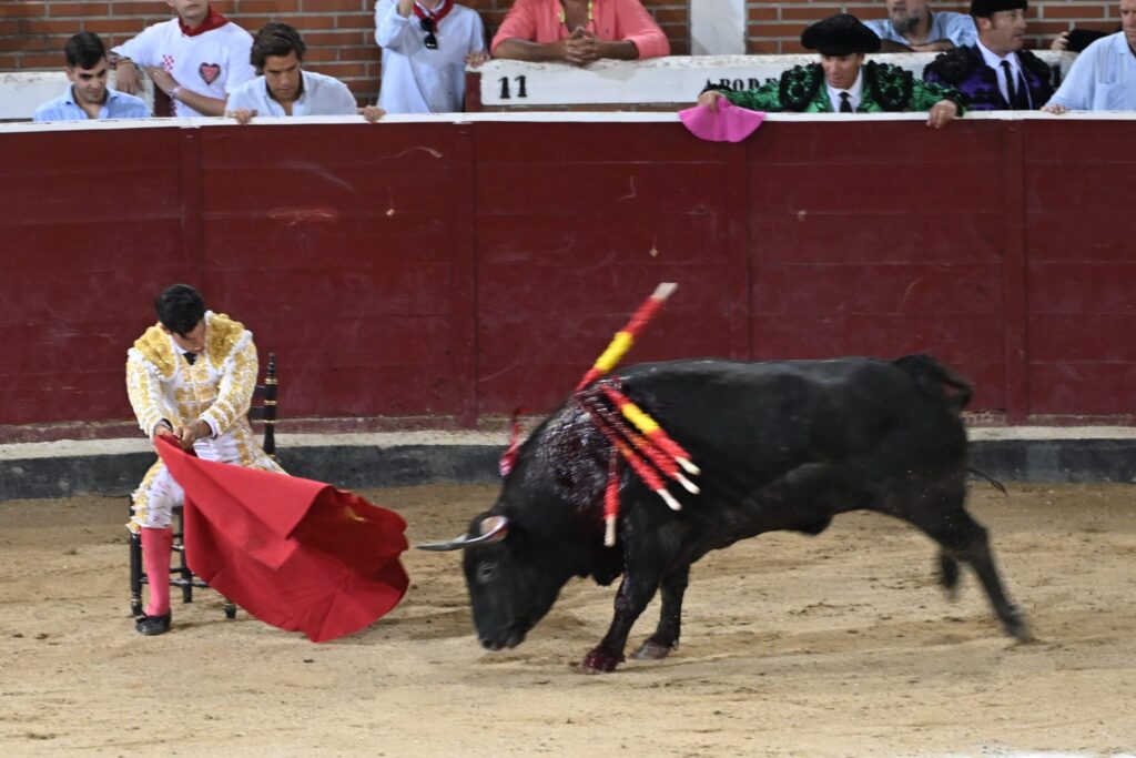 Foto Dani Martínez Alda