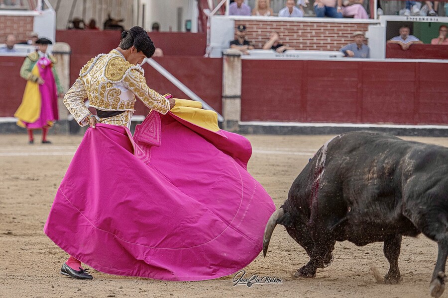 Foto. Josema Melero