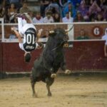 San Sebastián de los Reyes celebra el XXX Concurso Nacional de Recortadores con los mejores especialistas de España
