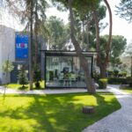 ¿Conoces las historias de éxito del Liceo Europeo?