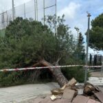 El Polideportivo José Caballero recupera la normalidad tras el cierre temporal por el viento