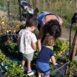 El Teatro Municipal acoge el 17 de febrero el sorteo de 52 huertos urbanos en Tres Cantos