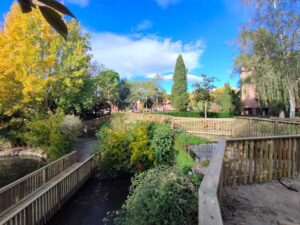 Retirada de nidos de procesionaria en pinos de parques de Tres Cantos