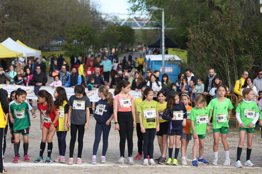 cross escolar