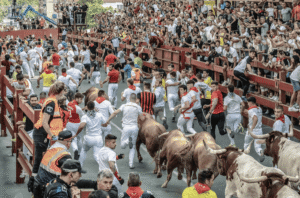 Bases del XXIII Certamen de Microrrelatos sobre Encierros de San Sebastián de los Reyes 2026