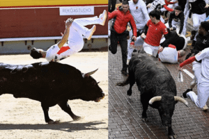 toros de Sanse en Castellón