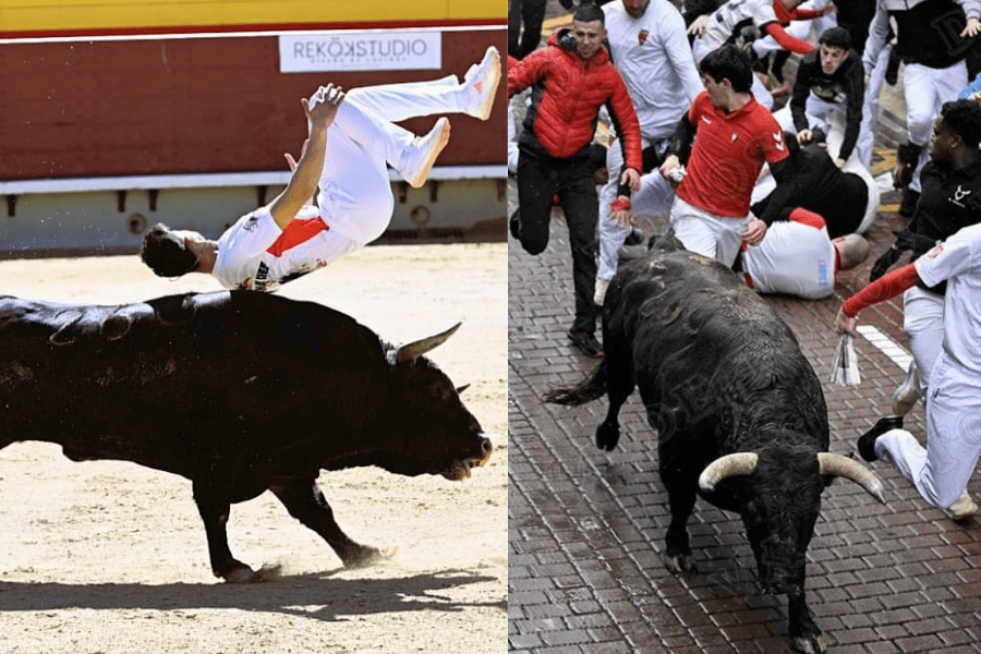 toros de Sanse en Castellón