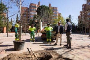 Plantación de nuevos árboles en Tres Cantos durante la campaña 2025-2026