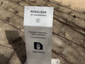 Rosaleda 35º Aniversario en Tres Cantos con nuevos rosales Knock Out