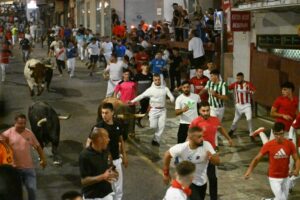 Esta es la estructura de los encierros para las fiestas en honor al Santísimo Cristo de los Remedios 2026