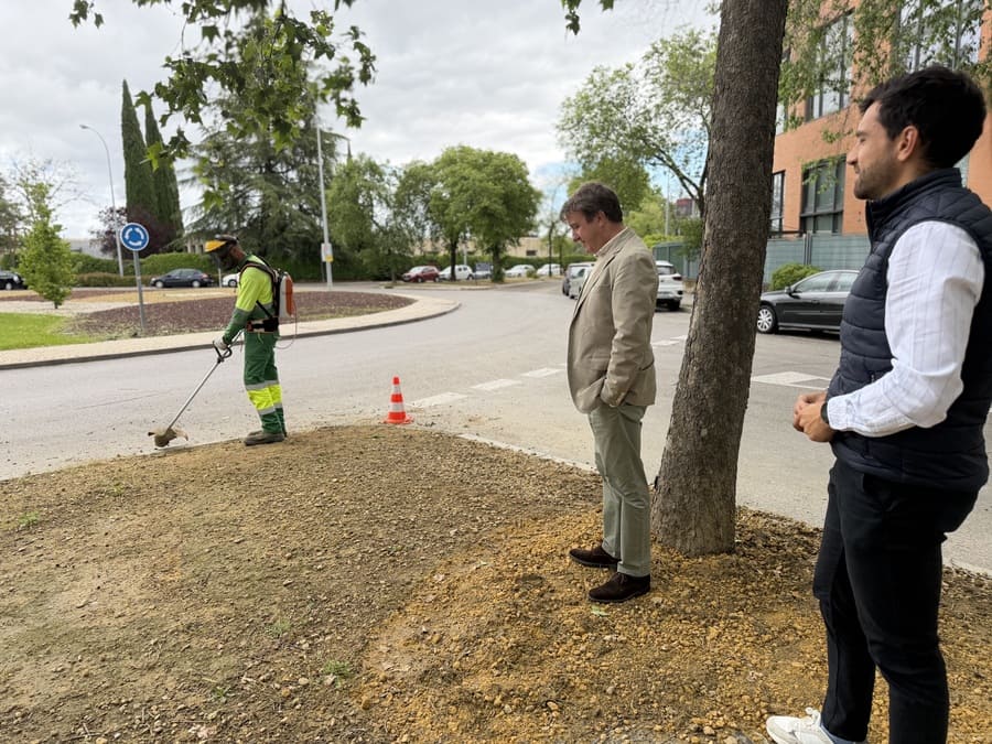 Trabajos de desbroce y poda en zonas verdes de Tres Cantos para prevenir incendios en verano