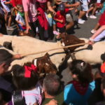 El Gobierno de Sanse justifica la celebración de la trashumancia infantil del pasado 2 de mayo