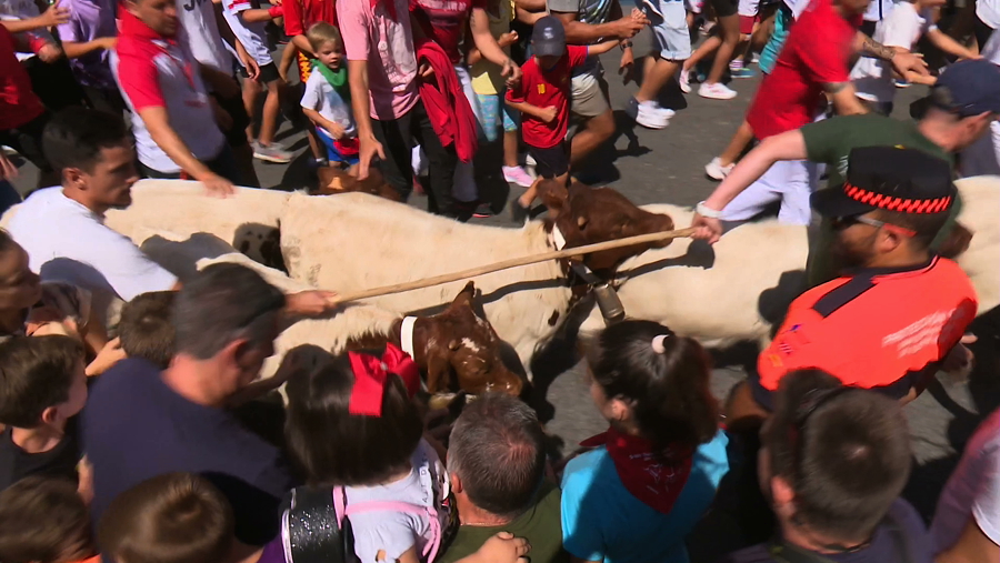 El Gobierno de Sanse justifica la celebración de la trashumancia infantil del pasado 2 de mayo