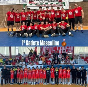 Los cadetes del Club Balonmano Sanse logran el bronce en el 2º sector nacional