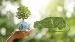 'Imagina en Verde' estará todo el mes de junio