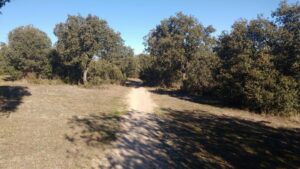 El Ayuntamiento de San Sebastián de los Reyes recuerda las medidas de prevención ante el periodo de riesgo de incendios forestales