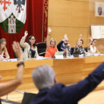 El Pleno de Alcobendas se posiciona en contra del tendido eléctrico junto a Camino de los Jardines en La Moraleja