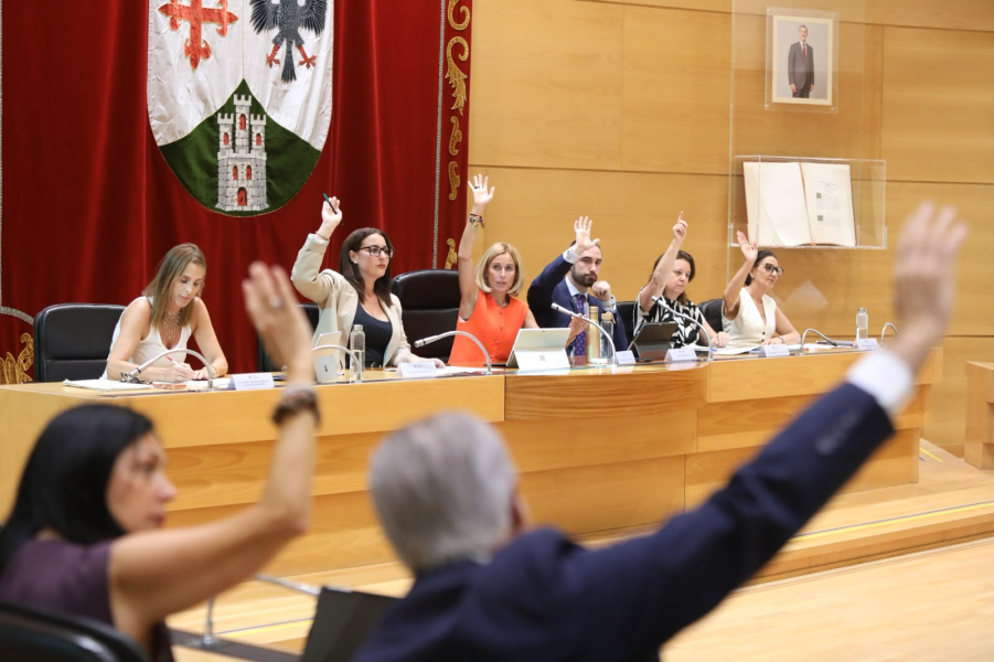 El Pleno de Alcobendas se posiciona en contra del tendido eléctrico junto a Camino de los Jardines en La Moraleja