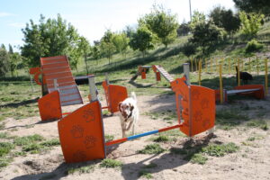 Las áreas caninas de Tres Cantos mejoran su equipamiento con nuevas actuaciones de mantenimiento