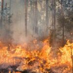 Tres Cantos ofrece todos sus recursos a la Comunidad de Madrid para reforzar la lucha contra los incendios forestales