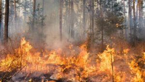 El alcalde Jesús Moreno anuncia el apoyo de Tres Cantos a la Comunidad de Madrid ante los incendios forestales.
