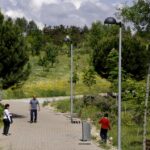 El Gobierno de Sanse aprueba un contrato para la plantación de árboles en el municipio durante los próximos tres años