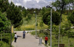 El Gobierno de Sanse aprueba un contrato para la plantación de árboles en el municipio durante los próximos tres años
