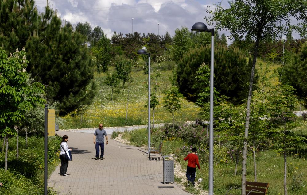 El Gobierno de Sanse aprueba un contrato para la plantación de árboles en el municipio durante los próximos tres años