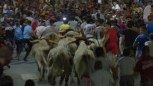 La tradicional cabestrada llega este sábado a las calles de Sanse