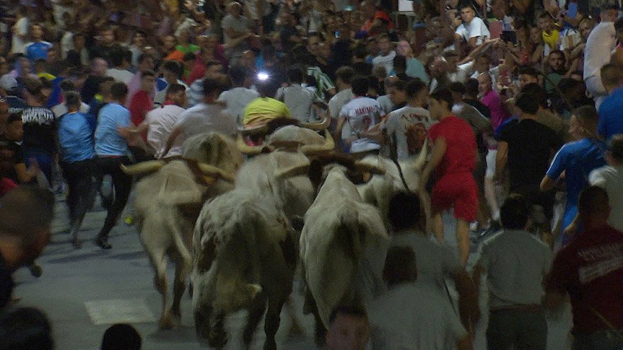 La tradicional cabestrada llega este sábado a las calles de Sanse
