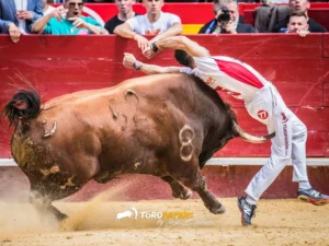 El Peta reaparece en la final del XXX Concurso de Recortadores de San Sebastián de los Reyes 2026.