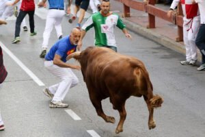 Corredores junto a los toros durante los encierros de San Sebastián de los Reyes 2026