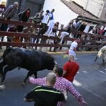 El quinto encierro de las fiestas de Sanse ha sido el más accidentado