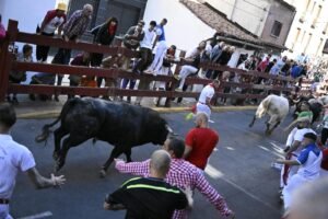 El quinto encierro de las fiestas de Sanse ha sido el más accidentado