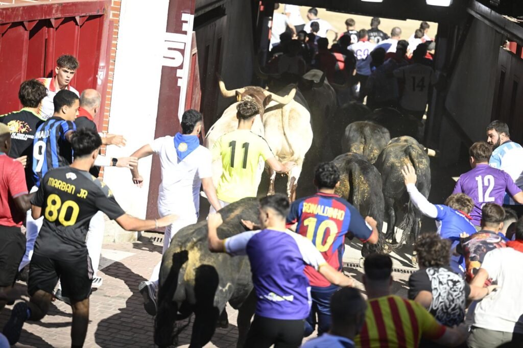 Los novillos de Montealto dejan seis heridos en el último encierro de las fiestas de Sanse