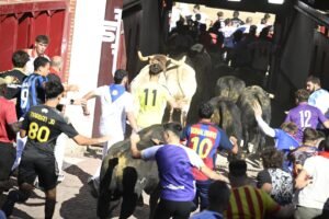 Los novillos de Montealto dejan seis heridos en el último encierro de las fiestas de Sanse