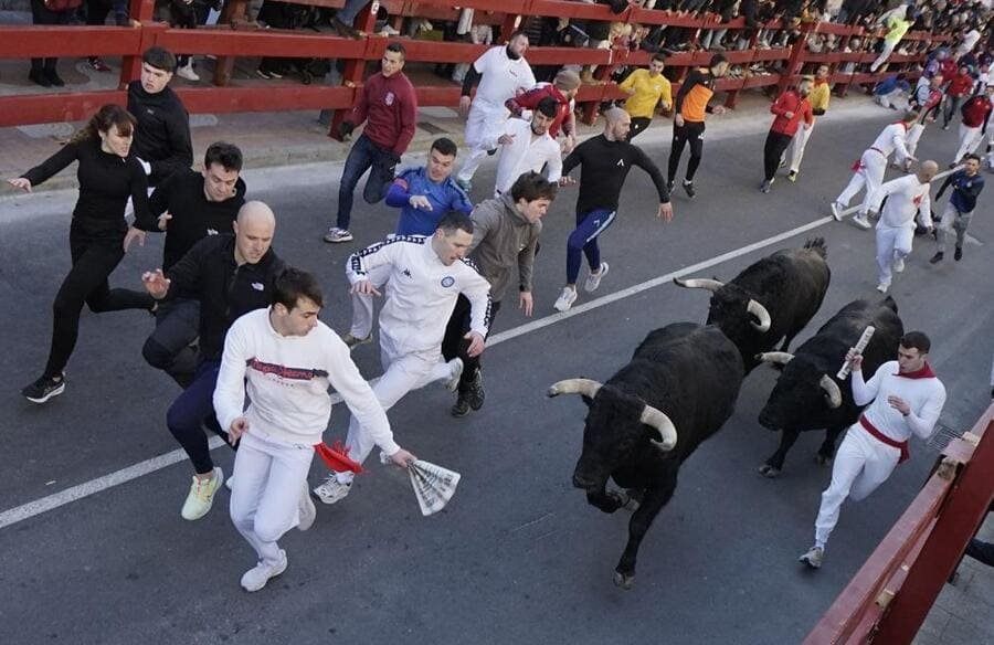 Recorrido, gradas y normas de los encierros de San Sebastián de los Reyes 2026