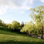 El Ayuntamiento de Alcobendas quiere invertir más de 10 millones de euros en el servicio de gestión integral de las zonas verdes públicas y el arbolado