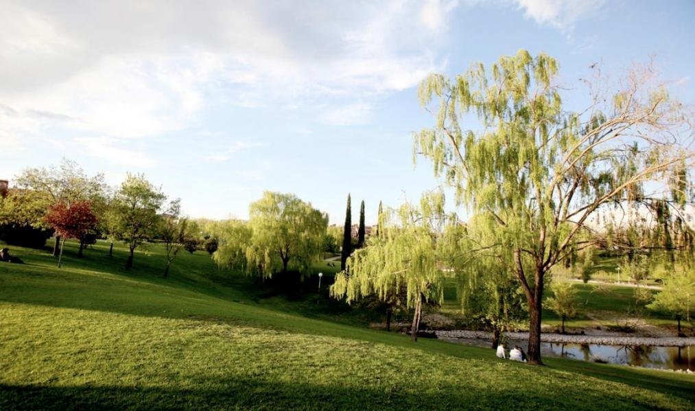El Ayuntamiento de Alcobendas quiere invertir más de 10 millones de euros en el servicio de gestión integral de las zonas verdes públicas y el arbolado