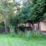 Las comunidades y los centros educativos de Alcobendas pueden solicitar plantas gratuitas hasta el 23 de octubre