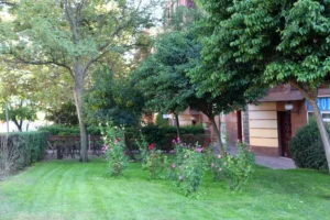 Las comunidades y los centros educativos de Alcobendas pueden solicitar plantas gratuitas hasta el 23 de octubre