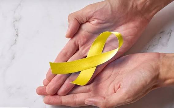 Expertos analizan en Alcobendas los retos de la prevención del suicidio
