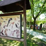 El Centro de Naturaleza Dehesa Boyal organiza una jornada ornitológica familiar