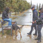 La nueva Ordenanza de Convivencia y Seguridad de Alcobendas incluye más dureza contra las conductas que deterioran el entorno urbano, alteran el descanso vecinal o afectan a la seguridad