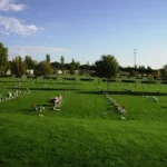 El Ayuntamiento de Alcobendas habilitará un autobús gratuito hasta el Cementerio Nuestra Señora de la Paz